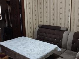 Janat's Guest House Amir Temur Park, ξενοδοχείο στο Νούκους