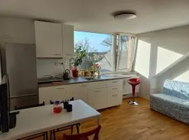 Apartment "Atelier ZR"