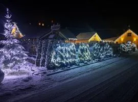 Drewniany Domek Daria i Tomek 2 domki na 8 osób