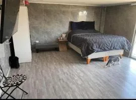 Carykat 23