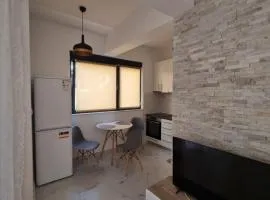 Spacious apartment in Meljine