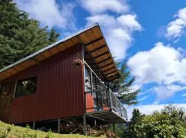 Altura House