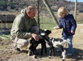 Domaine du Bas Chalus, cabaña o casa de campo en Forcalquier