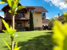 Villa Rusu