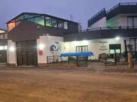 Walvis Bay Wind Beggars