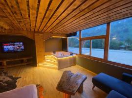 Wooden Palace Vıp Suit, hotel v destinaci Ardeşen