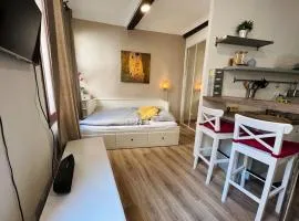 Bel Appartement dans le centre d'Aix-en-Provence