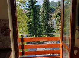 Casa della neve