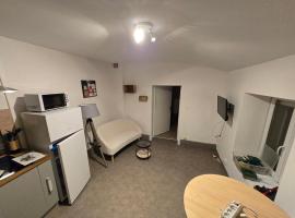 Appartement plein centre d'epinal, hotel v destinaci Épinal