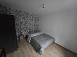 Appartement plein centre d'epinal