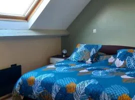 appartement vue mer GOELAND