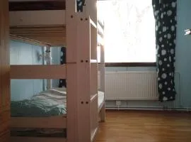 Backpackers hostel Ounasvaara private room 2