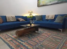 Villa nell'Arte