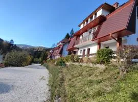 Apartamenty Kletno