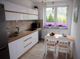 Mieszkanie Węgierska Górka，位于文盖尔斯卡－古尔卡的公寓