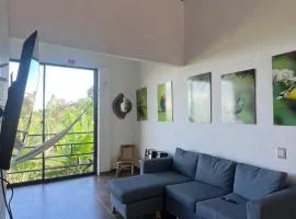 Campo Bonito