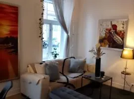 KINGSIZE BED plus SINGLEBED FULL APARTMENT OSLO CENTRAL