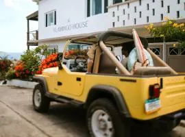 The Flamingo House