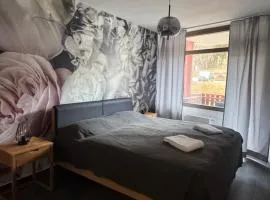 FeWo im Kurhotel in Schluchsee Apartment Loft Style mit Balkon Indoorpool Tiefgaragenstellplatz