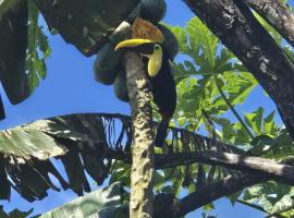 Casa Tucan 2bdr beach house AC BBQ Playa Blanca, haustierfreundliches Hotel in Puerto Jiménez