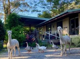 Tranquil farmhouse with sea view, dog friendly