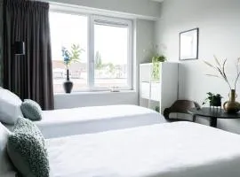 Newly Renovated Suite, Free Parking