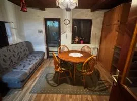 Chalet SS Pohorje