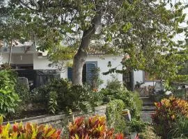 Casa das Flores Funchal