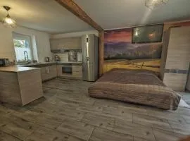 Streamside apartment