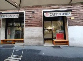 La mandragola