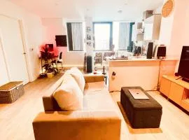 Fabulous modern North London apartment
