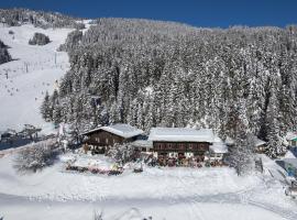 Berghotel Blaickner's Sonnalm, hotel v destinaci Zell am See