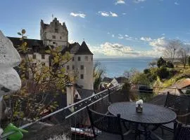 Mainaublick - TraumSeesicht mit Terrasse