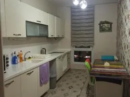ENTIRE 3 Bedroom Apartment with FREE PARKING