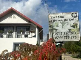 Floare de colt