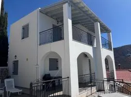 Three Olive Homes