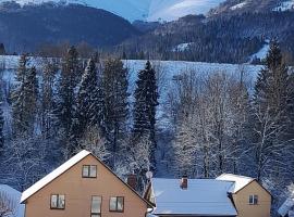 У ДЯДЬКА, venkovsk&yacute; dům v destinaci Pilipets
