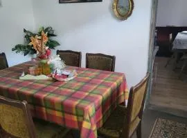 Jošanica-Sokobanja-kod Bine