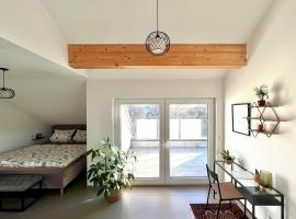 La Dolce Vita Apartment，位于莱茵河畔凯尔的酒店