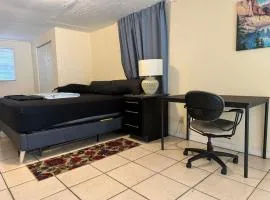 Tampa Downtown property