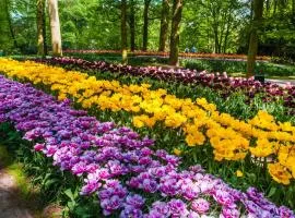 Holiday Inn - the niu, Dairy Haarlem