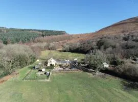 Tunnel Cottages at Blaen-nant-y-Groes Farm、アバーデアのファームステイ
