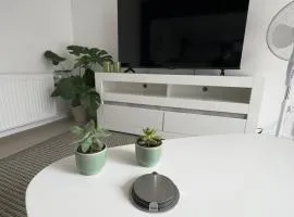 SAS Apartments