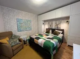 KarlovaIdyll 7 - Homey Apartment with FREE Parking!