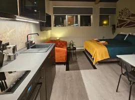 Base apartments ap 209 - Capital region of Reykjavík
