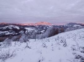 Eagles nest, hotell i Stîngoi
