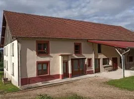 Grande Maison pour 10 Pers. avec Jardin, Terrasse, BBQ, Près de Bruyères et Gérardmer - FR-1-589-335