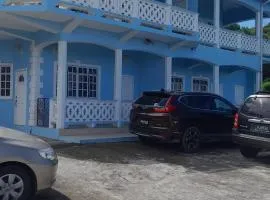 Millennium View Villa - 2