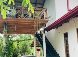 eco house
