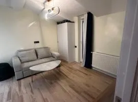 X2 apartment Bakuriani